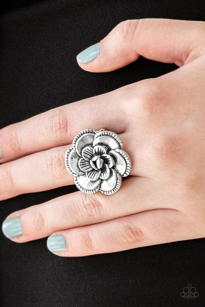 Paparazzi Accessories - Flowerbed And Breakfast - Silver Ring - Bling by JessieK